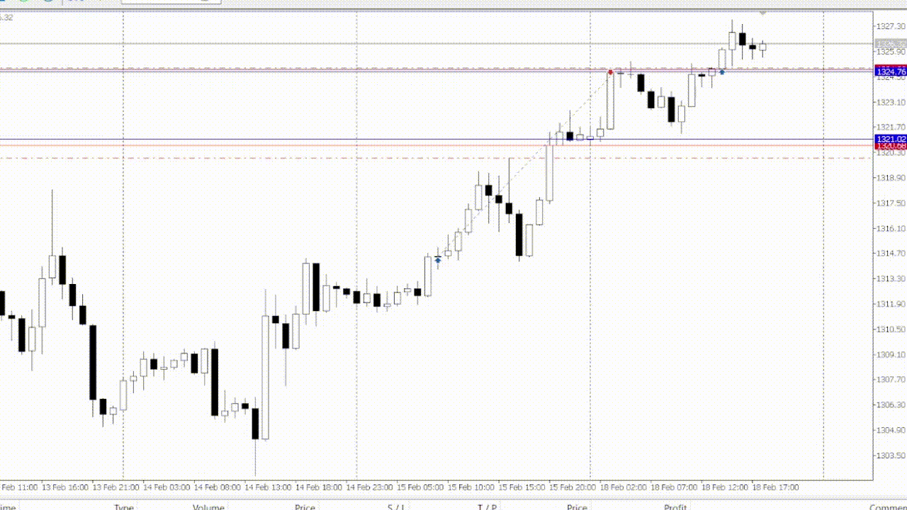 AlphaMind trading algorithm in action